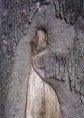 /album/kombinovana-technika/smutna-jpg/